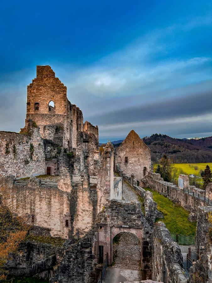 Storchenhof * Teningen
